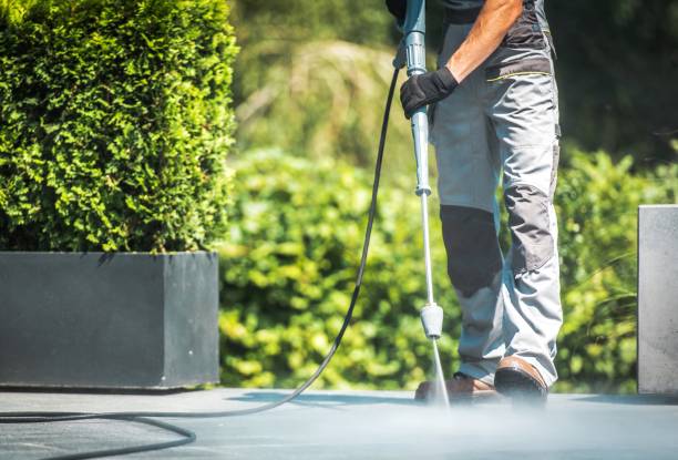 Animal Enclosure Cleaning in Houston, AK